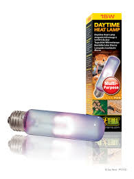 Daytime heat Lamp1