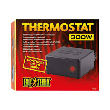 termostat
